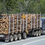 Grumes de bois